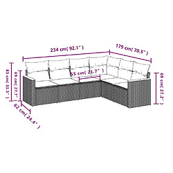 Avis vidaXL Salon de jardin 6 pcs avec coussins noir résine tressée