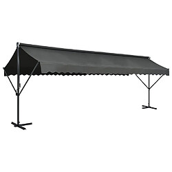 vidaXL Auvent sur pied 600 x 300 cm Anthracite 