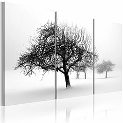 Paris Prix Tableau Imprimé Arbres dans le Brouillard 40 x 60 cm 