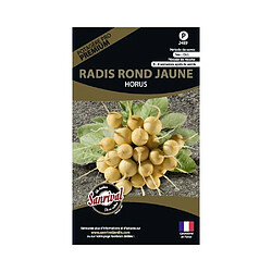 Sanrival Graines potagères premium radis Rond jaune Horus