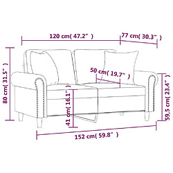 vidaXL Canapé 2 places avec oreillers gris clair 120 cm velours pas cher