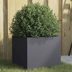 Maison Chic Jardinière,Bac à fleurs - pot de fleur anthracite 32x30x29 cm acier laminé à froid -GKD55582