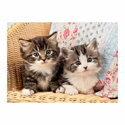 Ludendo Puzzle 100 pièces - Duo de chatons