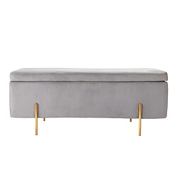 Avis Vente-Unique Banc coffre en velours HERVE - Gris clair