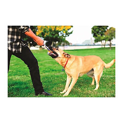 CHUCKIT! Ultra duo tug S - 2 balles en caoutchouc Ø 5cm - Pour chien