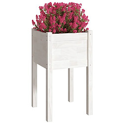 Avis Maison Chic Jardinière,Bac à fleurs - pot de fleur d'extérieur Blanc 40x40x70 cm Bois de pin massif -GKD38025