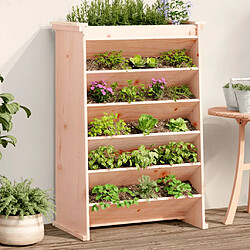 vidaXL Jardinière de plantes aromatiques 6 niveaux bois massif douglas