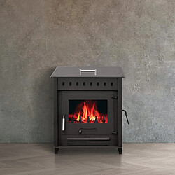 Interstoves POÊLE À BOIS AVEC FOUR SARA 12 | BÛCHES 45CM - Acier pas cher