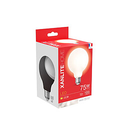 But Ampoule Led B95 E27 75W Blanc froid pas cher