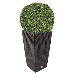 WellHome Ensemble de pots Rato 35 litres avec insert 28,7 x 28,7 x 55 cm de couleur anthracite + boule de buis diamètre 36 cm