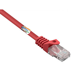 Basetech RJ45 CAT 5e U/UTP 1.00 m rouge avec cliquet dencastrement