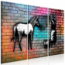 Paris Prix Tableau Imprimé Washing Zebra Colourful Brick Wide II 80 x 120 cm 