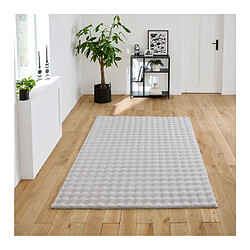 Acheter Zandiara Tapis 160x230 cm FJORD Gris