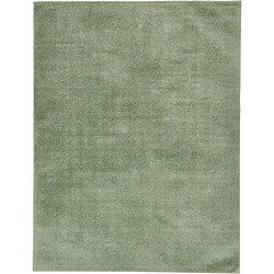 Hadorn Tapis shaggy 274x183 vert Luzern 