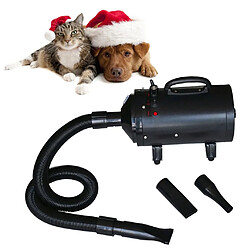 Acheter vidaXL Sèche-cheveux pour chien avec 3 buses Noir 2400 W