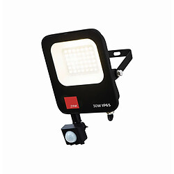 Lumière Projecteur Extérieur LED PIR 30W 6500k Noir & Anthracite IP65 