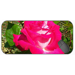 Universal (750x300x3) XXL GAMING MOUSE PAD, Beautiful Nature Rose Office Mouse Pad