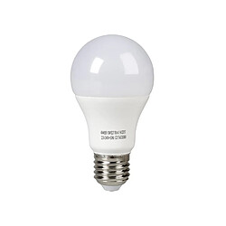 Expert Line EXPERTLINE Ampoule LED E27 10 W équivalent a 60 W blanc froid