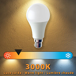 Acheter VELAMP Ampoule LED SMD, standard A60, 15W / 1520lm, culot B22 (France), 3000K