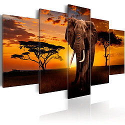 Decoshop26 Tableau toile de décoration murale impression premium en 5 parties sur châssis en bois motif Le roi de la savane 100x50 cm 11_0015006 