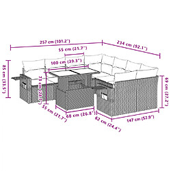 Acheter vidaXL Salon de jardin 9 pcs avec coussins noir résine tressée