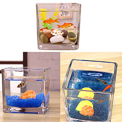 Aquarium de bureau pot en verre pour aquarium