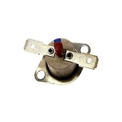 Fagor THERMOSTAT REARMABLE 175°