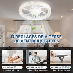 Acheter FIMEI Ventilateur de plafond NACATIN 360° ROTATION -6 Vitesses -Fonction Minuterie 48cm