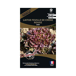 Sanrival Graines potagères premium laitue Feuille de chêne rouge Saxo