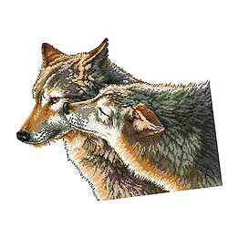 Avis La broderie faite main de loup embrassent des métiers 11CT 52 × 44cm de broderie de kits