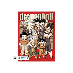 Toile Groupe Dragon Ball - (30x40) - ABYstyle