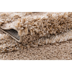 Acheter Hadorn Tapis shaggy 185x125 brun Thun Tribus