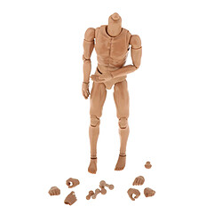 Acheter 1/6th Échelle Super-Flexible Musculaire Mâle Figurines Corps 28CM Hauteur avec Mains de Rechange