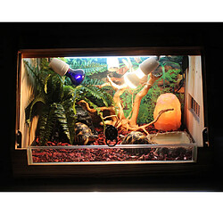 Acheter Aménagement Terrarium Tortue Amphibien