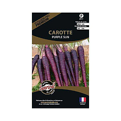 Sanrival Graines potagères premium carotte Purple sun 