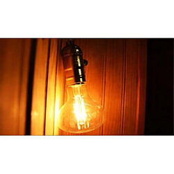 Desineo Ampoule vintage à LED 4W E27 R80 style Edison bulb