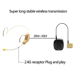 Acheter Wewoo Haut-parleur 2.4GHz Sans Fil Audio Transmission Micro Électronique, Distance de Transmission: 20-30m