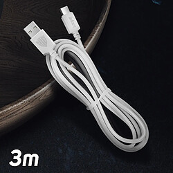 Câble USB Type C Charge et Synchronisation Connecteur Réversible 3m Inkax Blanc pas cher