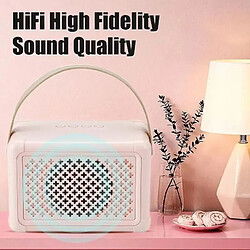 Acheter Yonis Mini Enceinte Bluetooth Karaoke Double Micro Haut Parleur Son Hifi Bluetooth 5.0 Portable