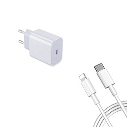 PHONECARE Kit Base de Chargeur Type C FastCharge 18W + Câble de Chargement Foxconn Type C - Lightining avec technologie PD certifiée MFI - Iphone XS 