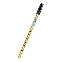 Flûte Irlandaise Triditionnelle En étain Sifflet 6 Trous En étain Penny Whistle High D Gold