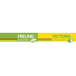 FREUND-VICTORIA Fourche 31198 4 dents gold, avec manche bois