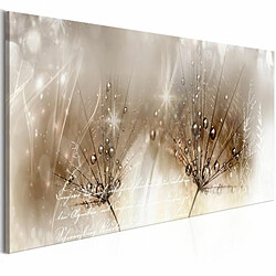 Paris Prix Tableau Imprimé Drops of Dew Brown Narrow 40 x 120 cm 