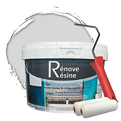 Pok Peinture Résine multisupport Intérieur 0,5L Peinture Résine multisupport Intérieur 0,5L - Faïence, Carrelage, Douche, Baignoire 5m² - RAL 7035 Gris clair + Kit d'application OFFERT