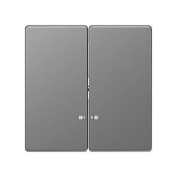 Schneider electric mtn3420 ? 6036 touche double avec viseur pour mécanisme de la gamme d-life, aluminium