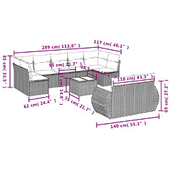 Acheter vidaXL Salon de jardin avec coussins 10 pcs gris clair résine tressée