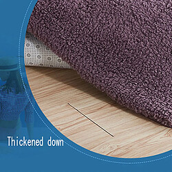 LUUCOZK Tapis moelleux en fausse fourrure Tapis à poils longs pour chambre à coucher Salon-Café-180x250cm