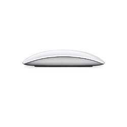 Apple Souris sans fil Magic mouse silver