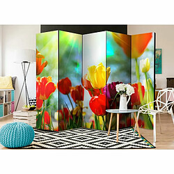 Paris Prix Paravent 5 Volets Spring Tulips 172x225cm