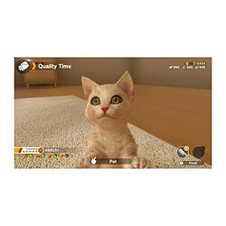 Just For Games Little Friends: Dogs and Cats Jeu Switch